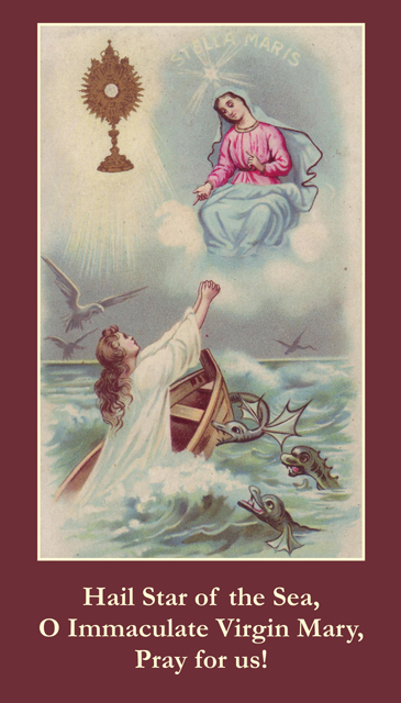 Ave Maris Stella Prayer Card***BUYONEGETONEFREE***